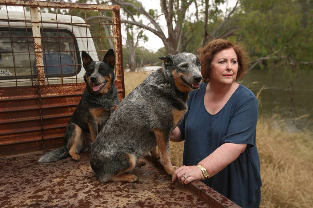FEARS: Lynne Riley, pictured with her dogs Bessie and Ned, says opening up Crown land for camping access will cause problems for landowners near the Murray, including a risk of fire. Picture: JAMES WILTSHIRE