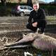 GRIM FIND: Mike Fuery with the killed kangaroo on Friday. Picture: MARK JESSER
