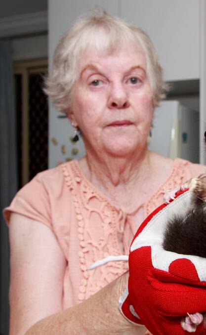 CONCERNING: Hazel Cook was left wondering why anyone would want to harm a galah. 