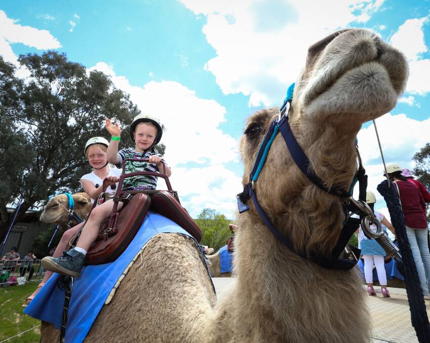 RIDE: Abby and Rhys Brown enjoy a ride on "Arnold" the camel at the fair. The camels proved a popular attraction for those who attended the event on Sunday. 