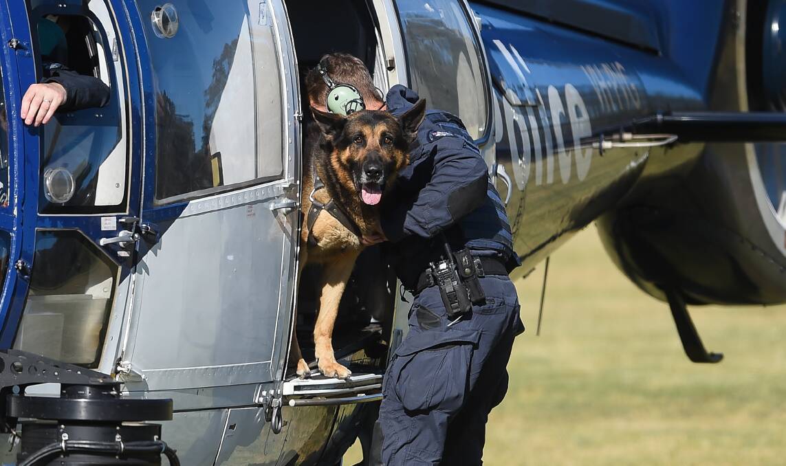 AIR WING: The air wing and dog squad were called to the scene. 