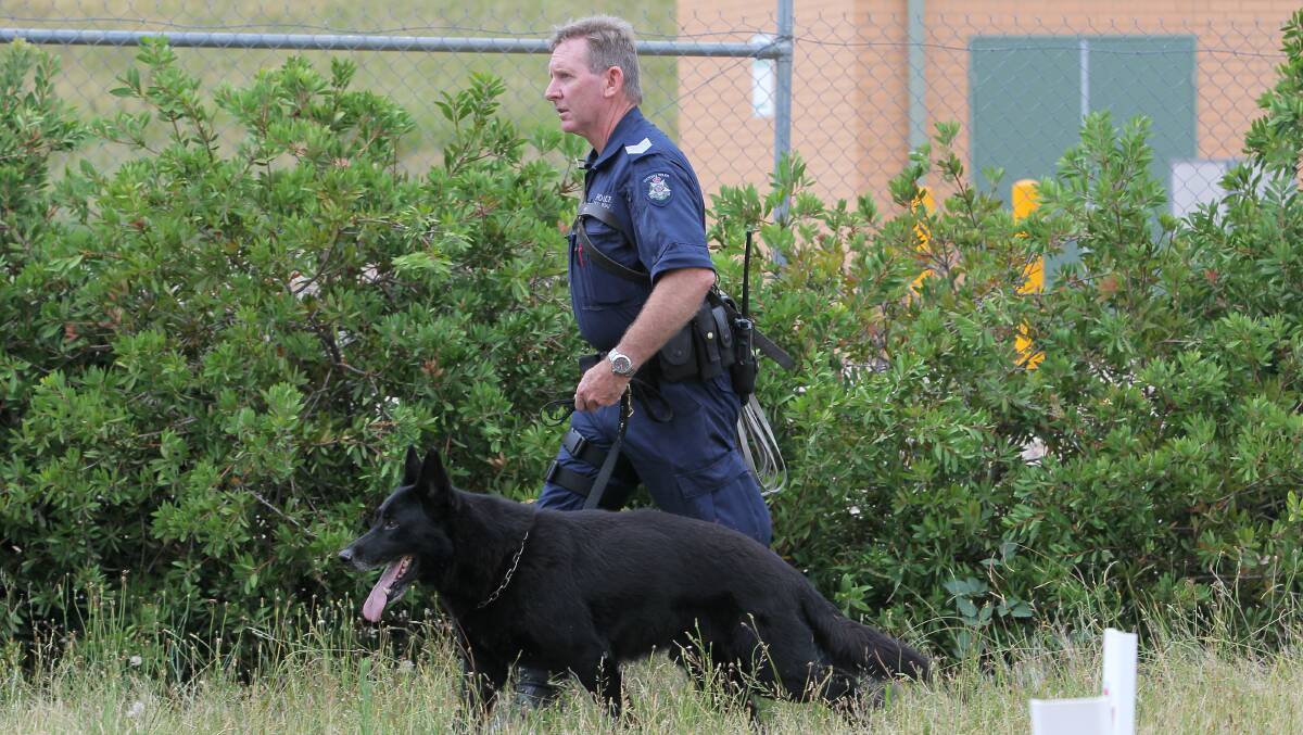 SEARCH: A police officer with a sniffer dog last in Myrtleford last January during the search for Karen Chetcuti Verbunt. 