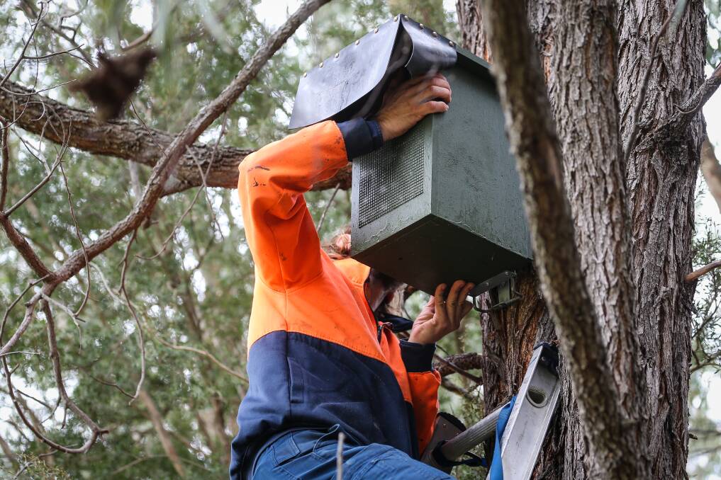INSTALLATION: The group uses the tools to install items like glider nesting boxes and to maintain parklands in the area. 