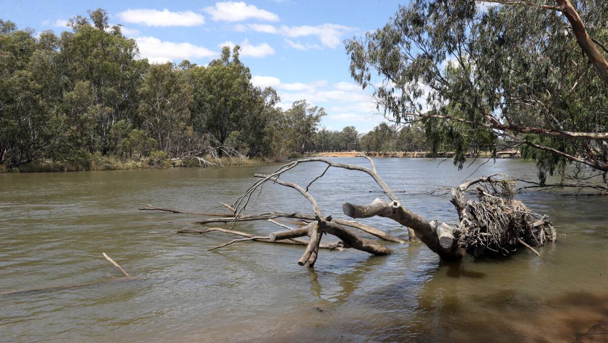 DROWNING: The Murray River. 