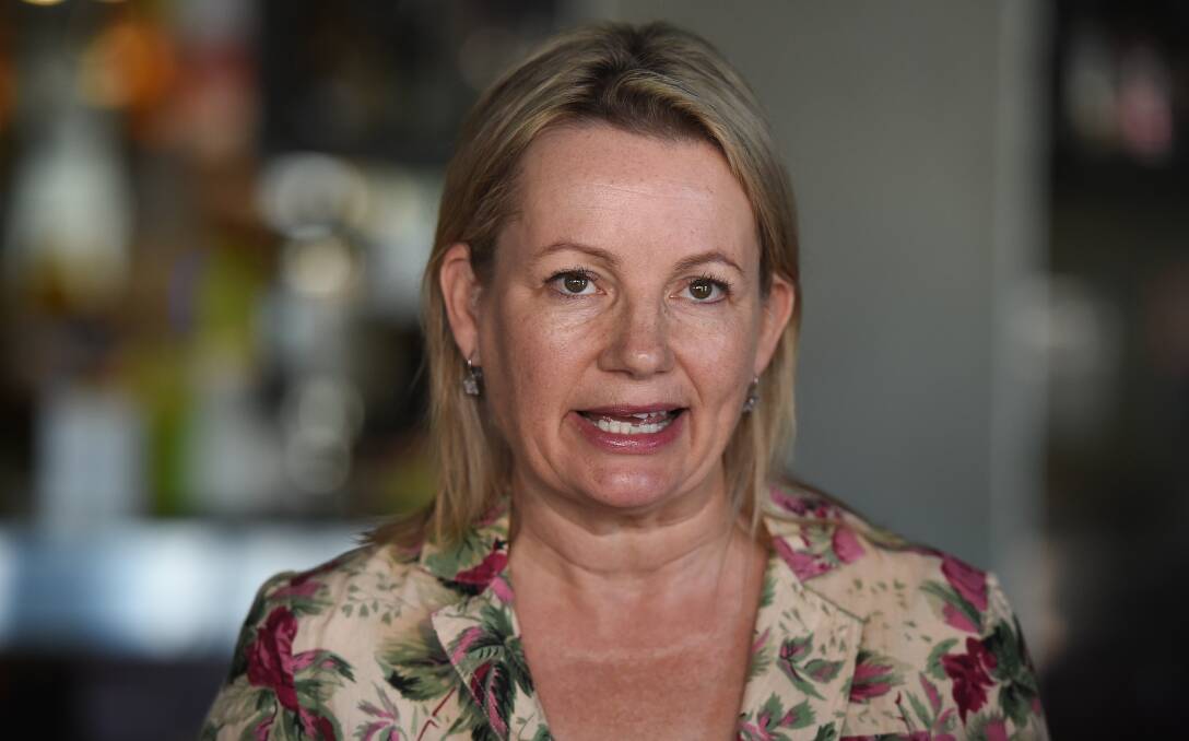 BREAKING RANKS: Environment Minister and Member for Farrer Sussan Ley has told ABC Radio the fires burning in NSW are linked to climate change. 