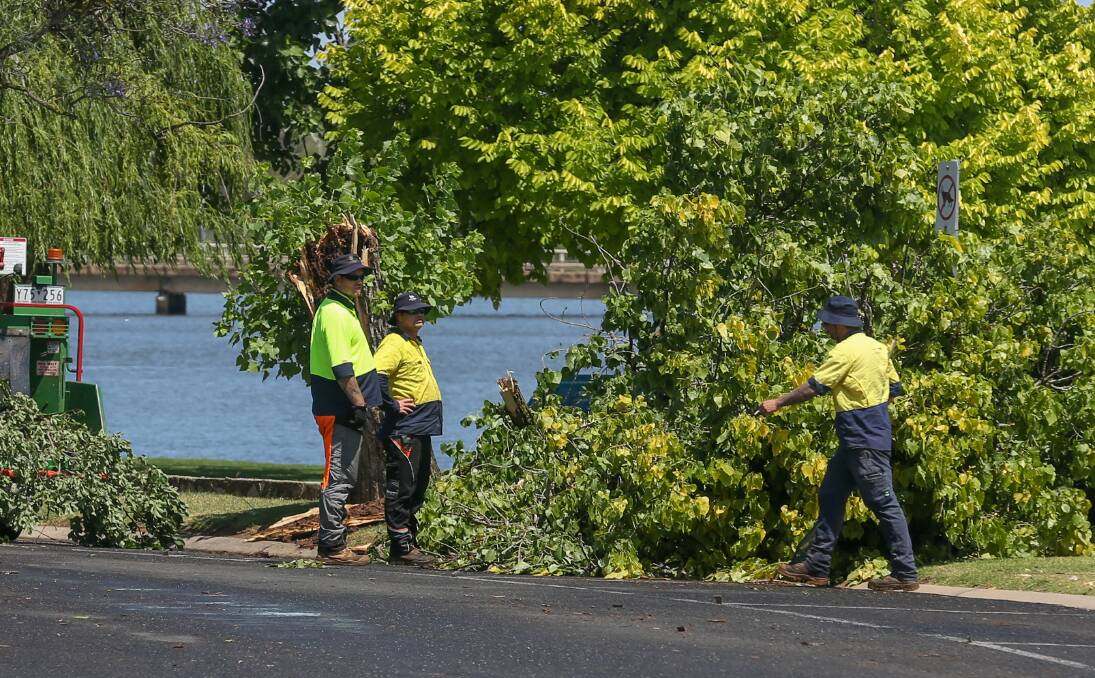 CLEAN UP: Trees also had to be removed from the Yarrawonga foreshore. Picture TARA TREWHELLA