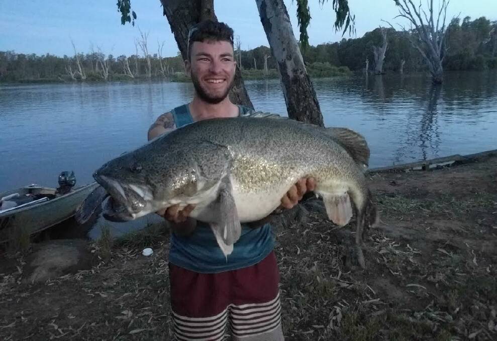 SURPRISE: Just as Josh Brown was about to hook one at Bundalong, a large fish swallowed the hooked fish head first (see tail in mouth). Josh later released this monster. 
