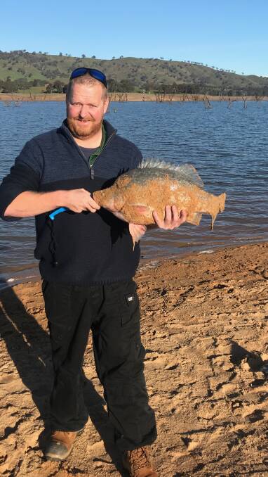 NICE CATCH: Ben Ray with the 65cm female yellow belly caught and released in Lake Hume. 