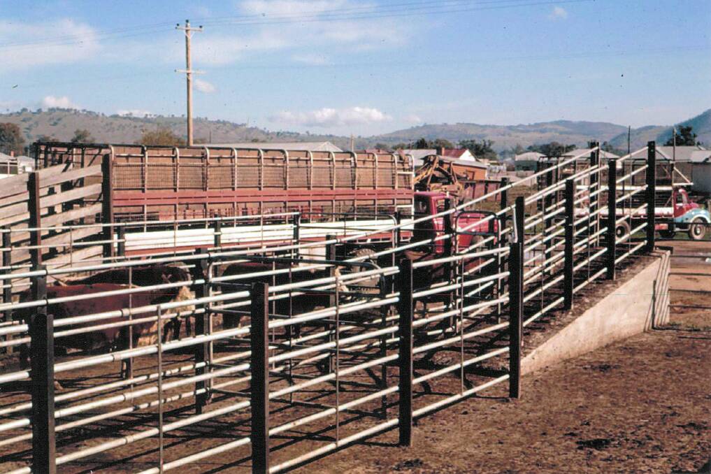 YARDS: Around 1935-1936, the Wodonga Shire Council mooted the idea of building saleyards. Pictured are the saleyard calf ramps.