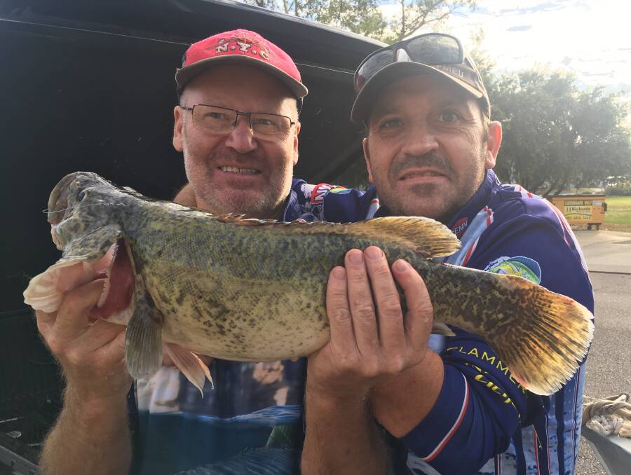 WHAT A CATCH: Brian Hickman and Raymond Thake with the nice Murray cod they caught near the Kremur Street Boat Ramp.