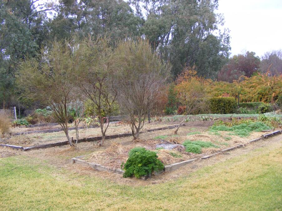 PREPARE: The kitchen garden/vegetable garden area at Wodonga TAFE.  These beds are in the process of having compost and organic matter added to make them ready for new plantings in spring.