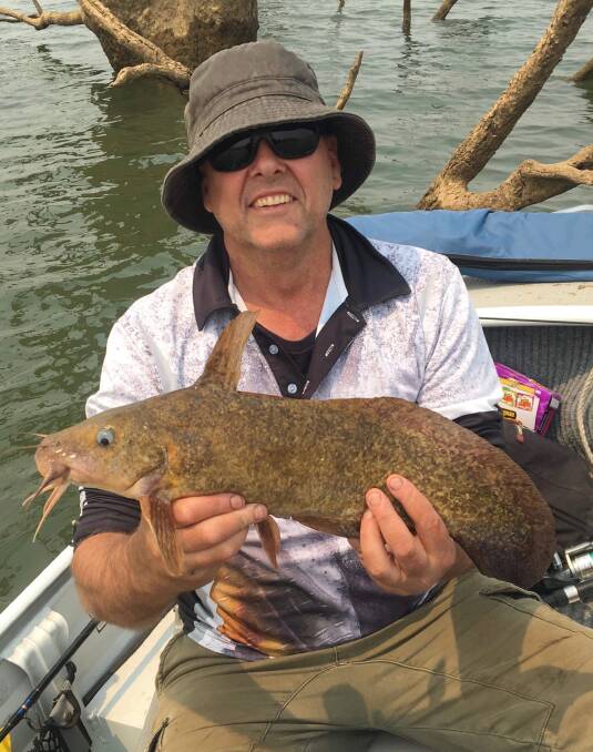 RARE SIGHT: The 53cm Lake Hume catfish caught by Chris Travers. This species has not been seen in this area for many years.
