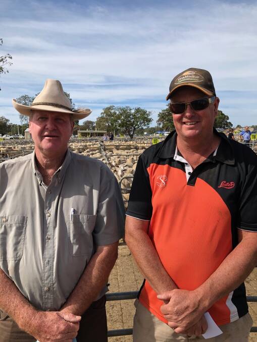 SALE: David Weidner from BUR with Lyle Burns "Yaralla" Burrumbuttock who sold 1200 lambs in Corowa to a top of $190.00.