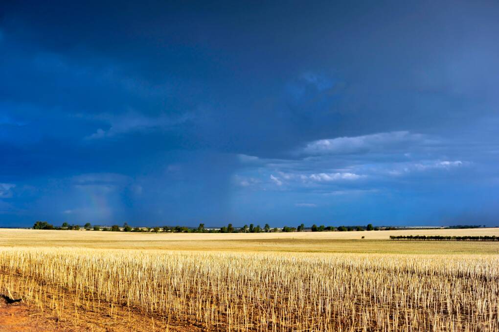 RECORD: Daily August rainfall records were broken in Western Australia this week.