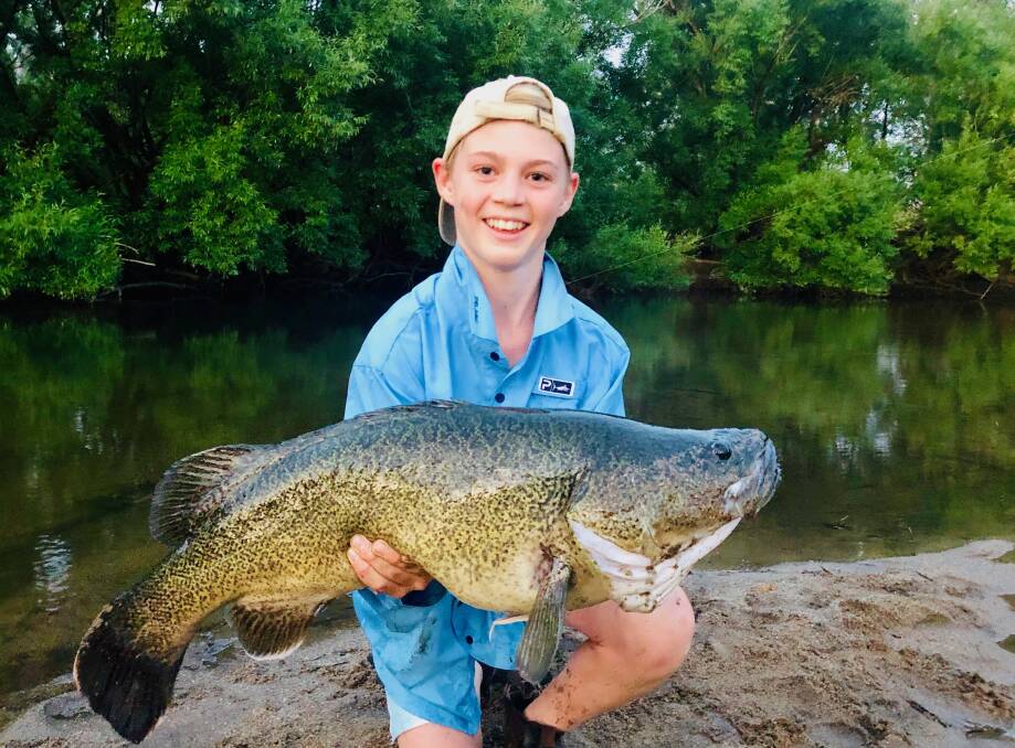 BIG CATCH: George Ingram, 14, caught this huge 78cm cod in the Kiewa on Sunday evening on bait.