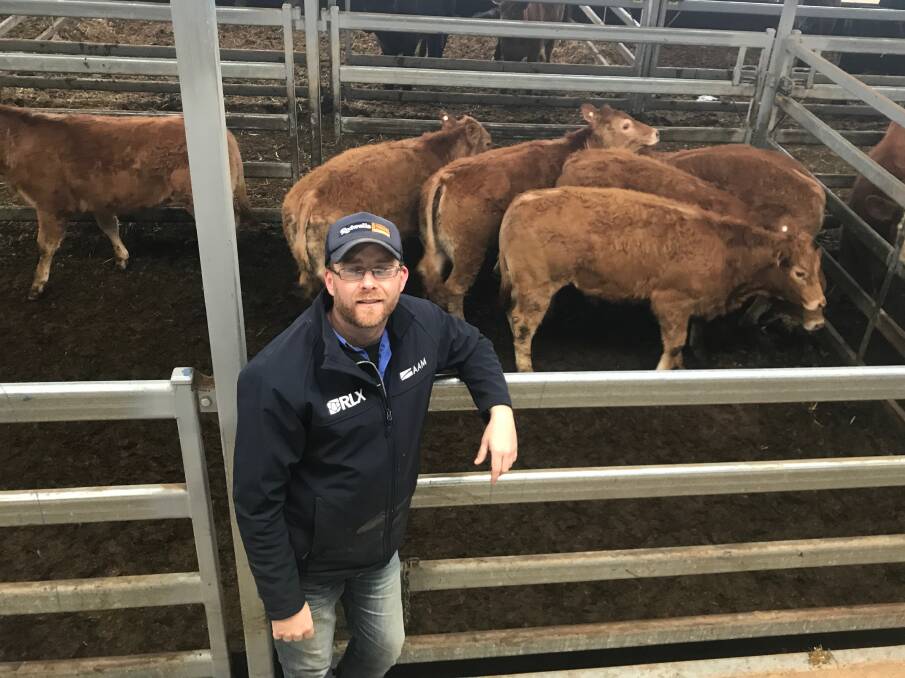 TOP: Tim Keys, Keystone Genetics, sold six Limousin heifers, topping the sale.