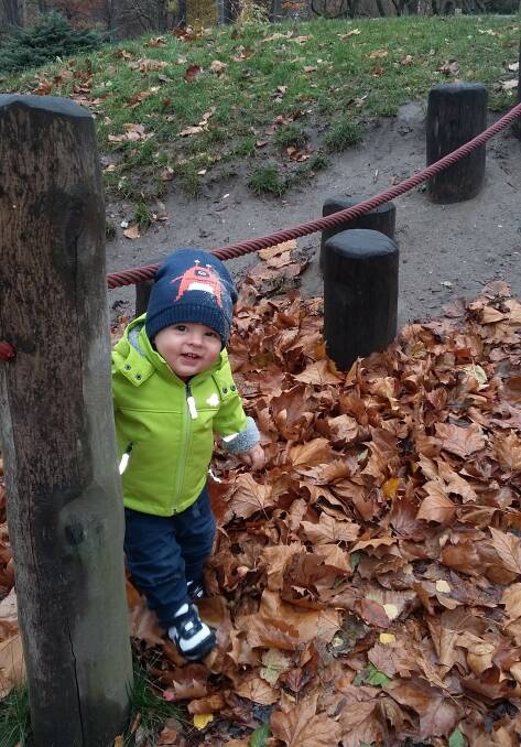 FUN: Leaves are the perfect playground for children and marvellous in the compost. Finton Harris,19 months, of Wodonga, getting ready to play.