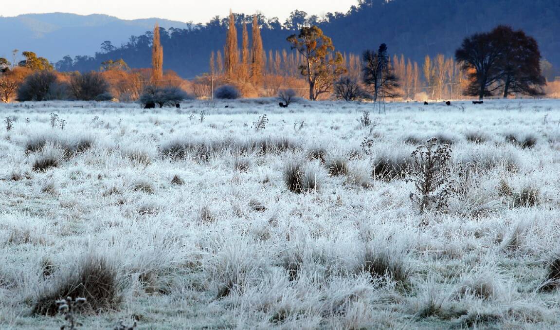 FROSTY: Maximum temperatures in North East Victoria during the first week of July were only about 1.5 degrees above normal but there were a few morning frosts.