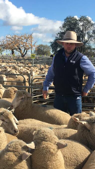 LAMBS: Adam Roberts, Rodwells Corowa, at the Corowa sheep and lamb sale.
