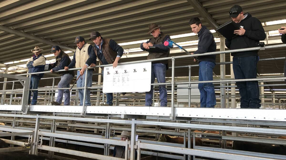 TO MARKET: The Rodwells team in action at the NVLX Wodonga.