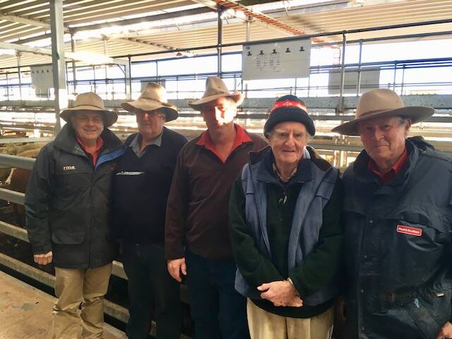 FINAL: Paull & Scollard client Murray Clarke, of Tallangatta, attending his
final sale of bullocks after 30 years in the industry.