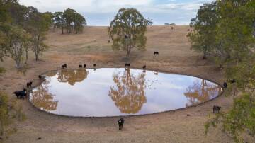 NO WAY: David Everist says there is no way that the majority of Australian farm dams could ever be fenced.