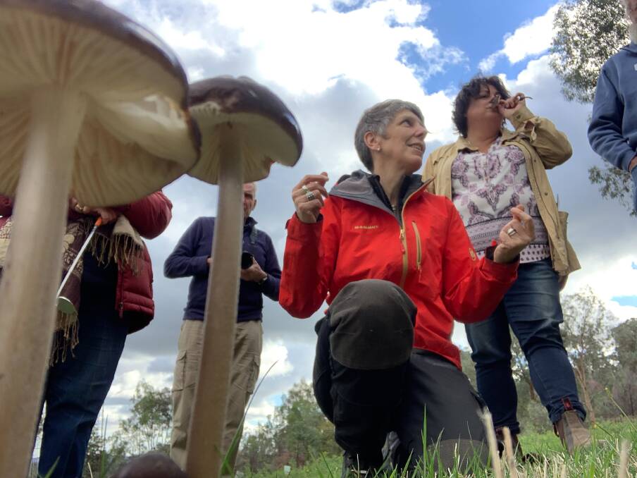 WORKSHOP: Dr Alison Pouliot and Wooragee Landcare investigating fungi. Photo: Sue Berwick. 