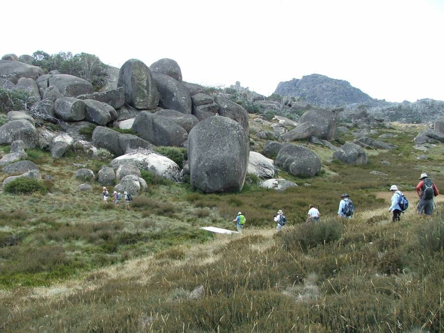 TAKE A HIKE: Border Bushwalking Club members hiking at Mount Buffalo National Park. The club offers a variety of day walks suitable for both beginners and veterans. 