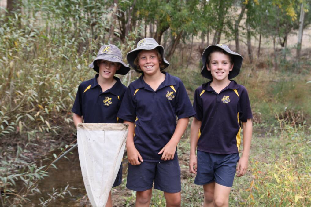 LANDCARE FUN: Holbrook students Will Jenkins, Angus Wright and Digby Gulliver are pictured enjoying the Junior Landcare Gala Day.