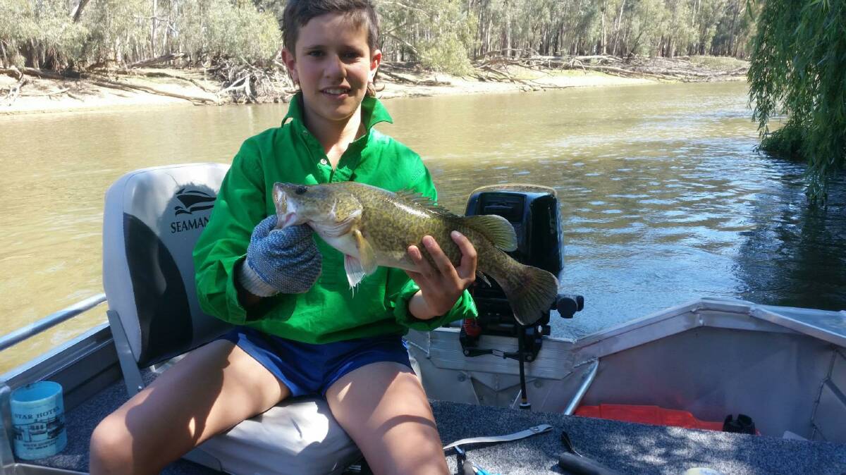 CATCH: Harry Lee with a 42cm Murray cod. Caught at Galore on the Murrumbidgee River during cod opening. Caught on shrimp.   