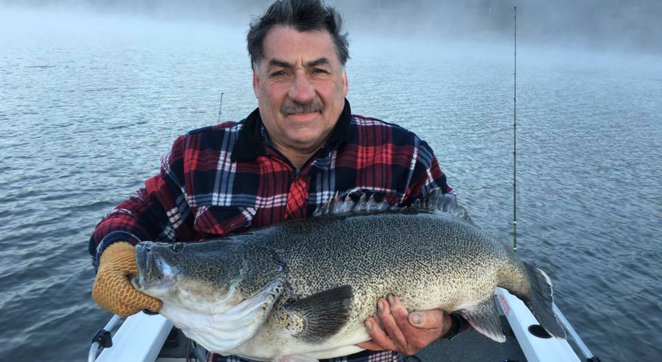 COD: Steve McPherson took his dad, John, for a run up to Blowering and dad showed him how it was done. John landed a 108cm and a 98cm beautifully coloured cod.