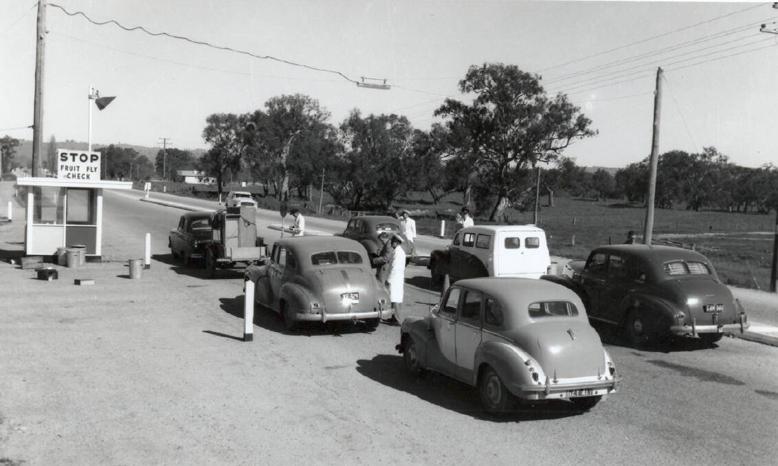 Point of protection: Vehicles line up at one of Victoria's fruit fly inspection points in 1961.