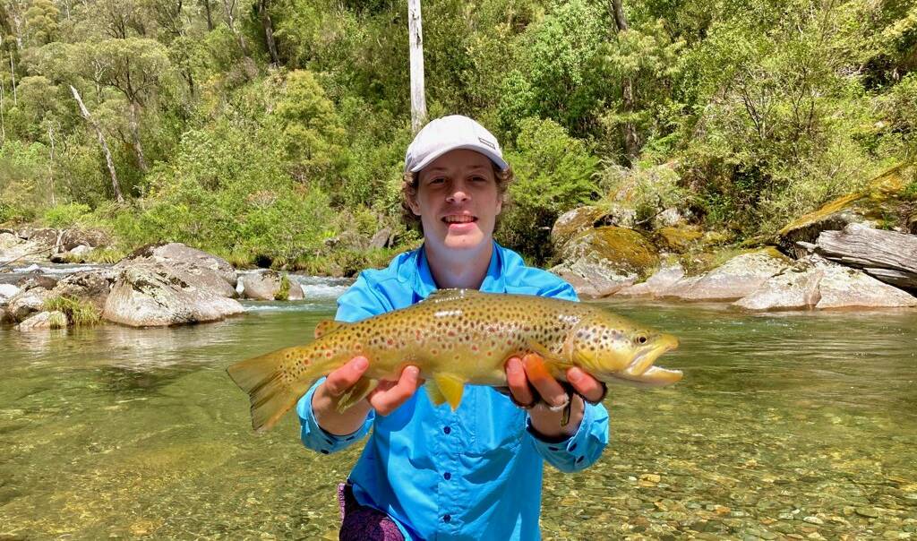 FLY: Tom Ingram caught this superb brown trout, while fly fishing a north east Victorian stream. Fly used was a royal stimulator.