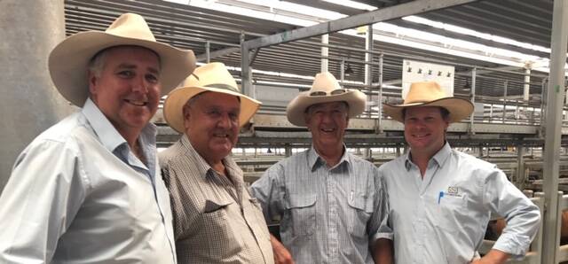 SALE: Craig Schubert, Bryan Proctor and Trent Boers discuss market trends with fat
buyer Paul Weidner at NVLX Wodonga.