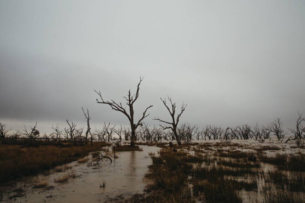 In Menindee, the lakes are full for the first time since 2012 and the locals want them treated as more than a cistern flushed by downstream irrigators - so there's enough water to sustain the native fish and birds.
