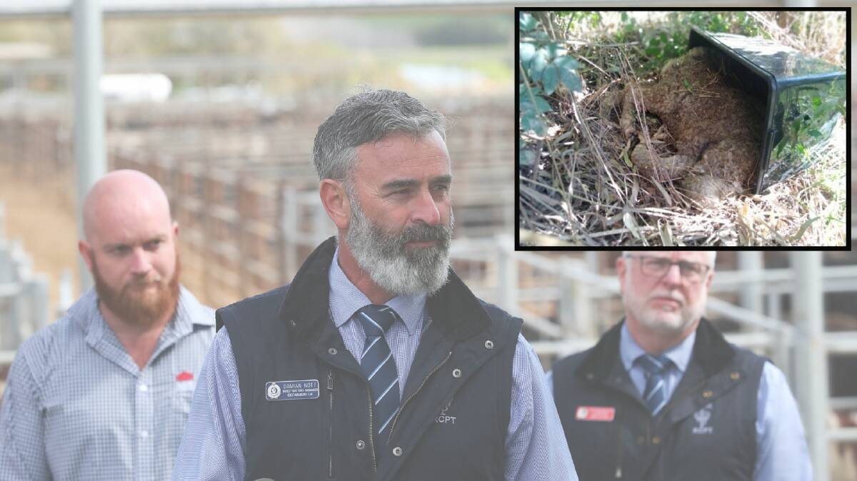GRAPHIC: Detective Sergeant Damian Nott speaks to the issue of stock theft after a lamb (inset) was found dumped at Wiradjuri Reserve.