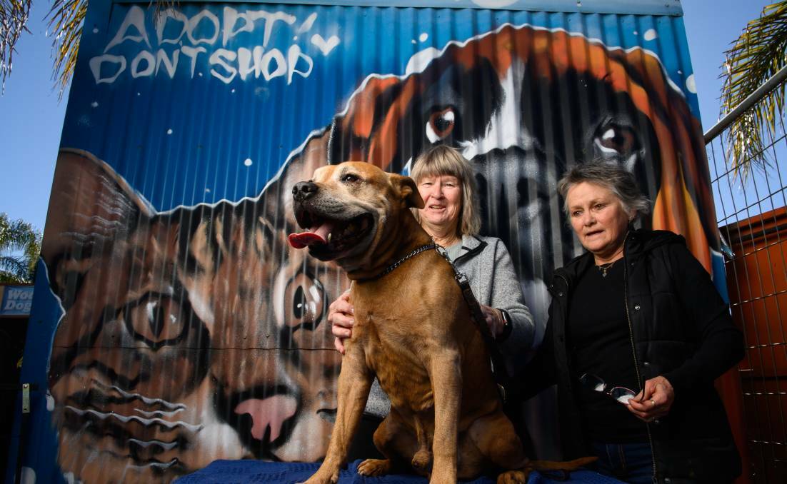 Peta McRae, right, is used to having a full house at her Wodonga animal rescue headquarters but things are going to get even more crowded since Wangaratta's pound moved to Albury. Picture by Mark Jesser