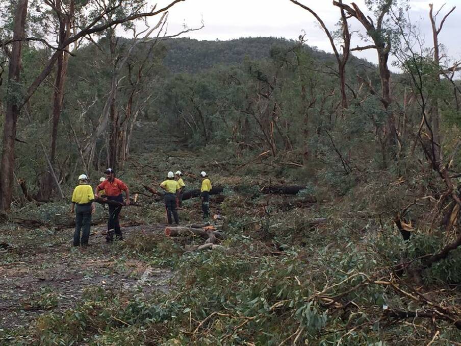 The storm left a trail of destruction on the Beechworth-Chiltern road. Picture: supplied
