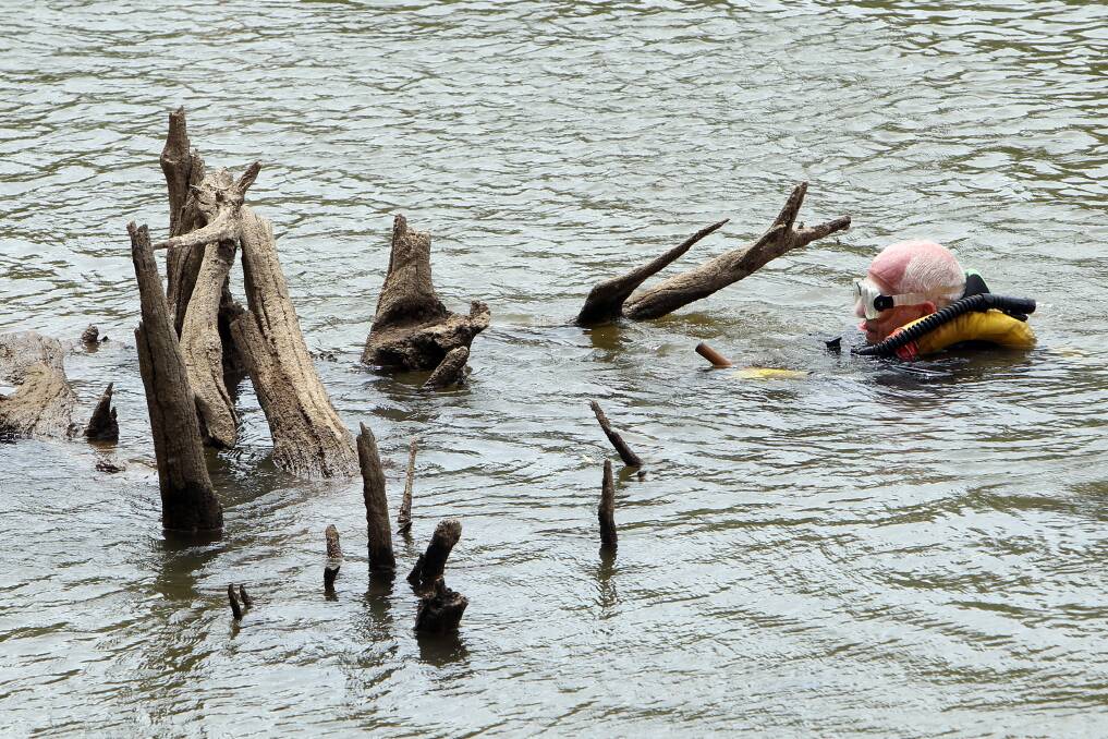 Peter Wright, of the Corowa Rescue Squad, searches the water for a missing man near Yarrawonga in 2013.