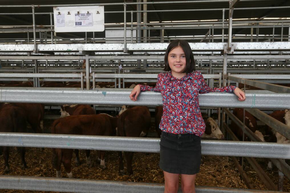 Scarlett Whelan, 10, with her family's cattle. Pictures: TARA TREWHELLA