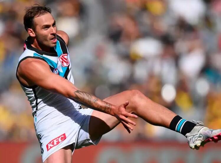 Port Adelaide forward Jeremy Finlayson will sit out three games after being suspended for making a homophobic remark in a game against Essendon.