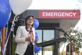 Victorian Health Minister Mary-Anne Thomas. Picture by Mark Jesser