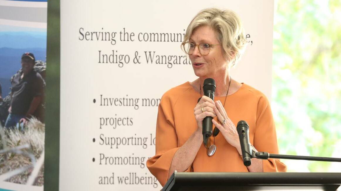 GET THE EXPERTS IN: Indi MP Helen Haines said the proposed committee should be made up of those who have expertise in the heath and science fields.