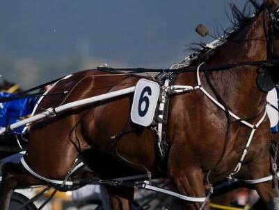 Four people have been charged over harness race fixing in Victoria.