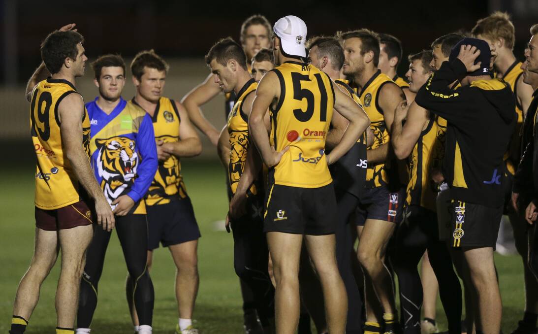 LEADER OF THE PACK: Albury co-coach Shaun Daly issues instructions at Tigers training on Thursday night. Picture: ELENOR TEDENBORG