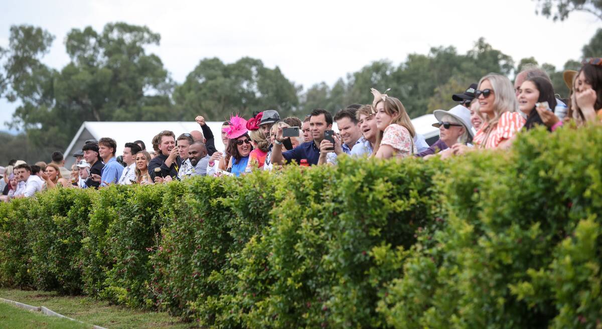 The Albury Gold Cup is regarded as the city's biggest social event of the year. Picture by James Wiltshire