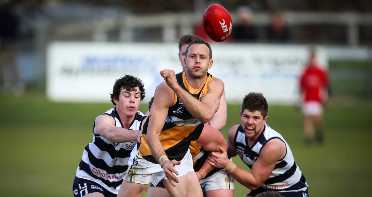 HOT CROSS: Daniel Cross starred for Albury in its 83-point hiding of Yarrawonga at J.C. Lowe Oval on Saturday. Picture: JAMES WILTSHIRE