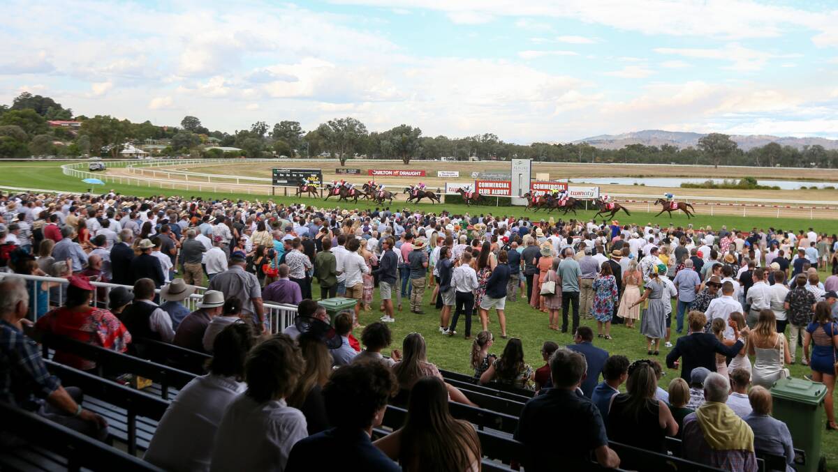The crowd at last year's Albury Gold Cup. Picture by Tara Trewhella