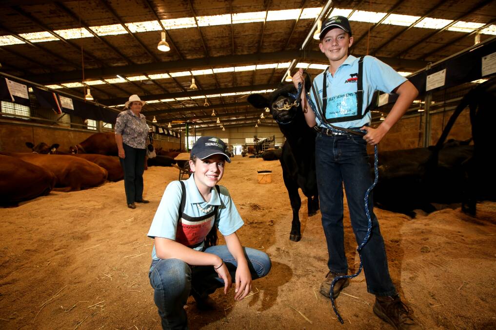 Bright future: Albury siblings Mackenzie and Riley Semmens, aged 12 and 13, got stuck right-in at the Angus Youth National Roundup. Pictures: JAMES WILTSHIRE