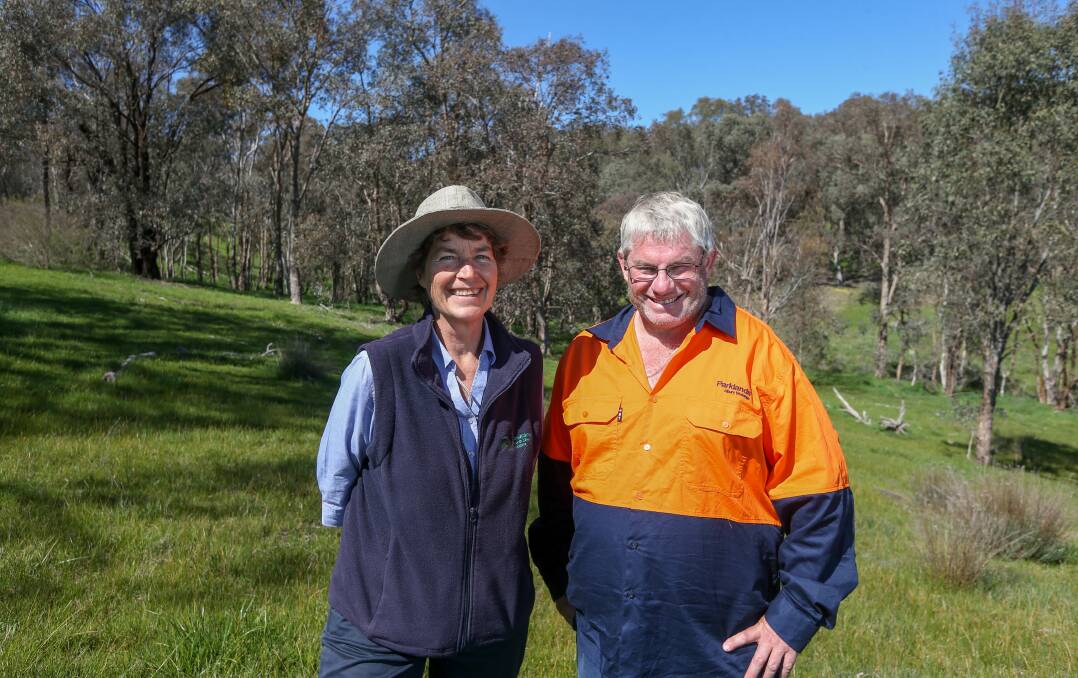 WE SAY: Landcare is creating a better shade of green